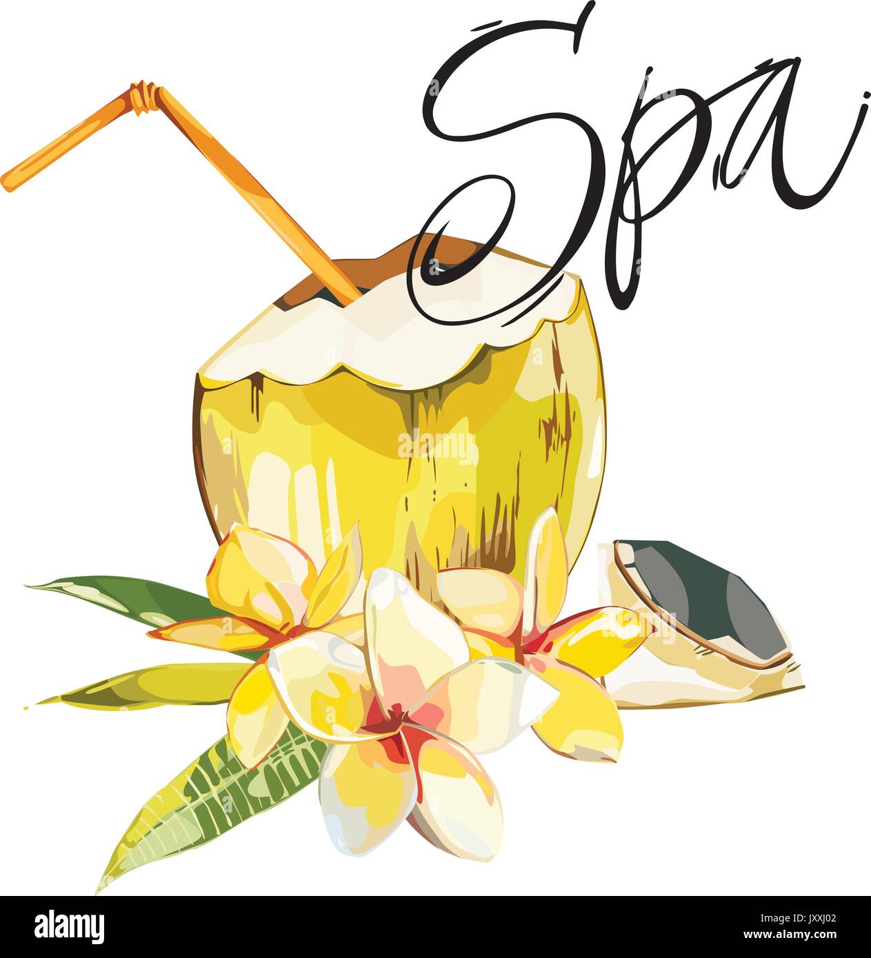 Mot- Spa. La main de coco vecteur croquis avec fleurs plumeria. Vector illustration aquarelle tropicales. Isolé sur fond blanc Illustration de Vecteur