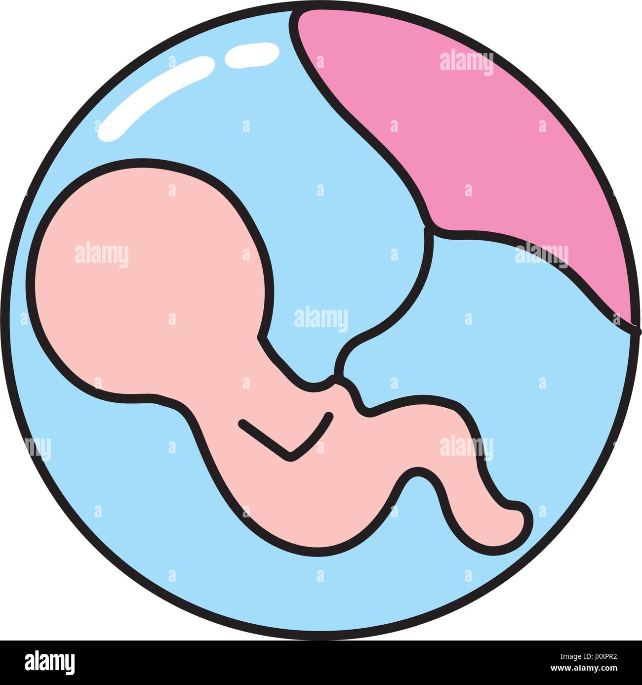Bebe Avec Cordon Ombilical A L Interieur De L Uterus Des Meres Image Vectorielle Stock Alamy Bebe Avec Cordon Ombilical A L Interieur De L Uterus Des Meres Image Vectorielle Stock Alamy