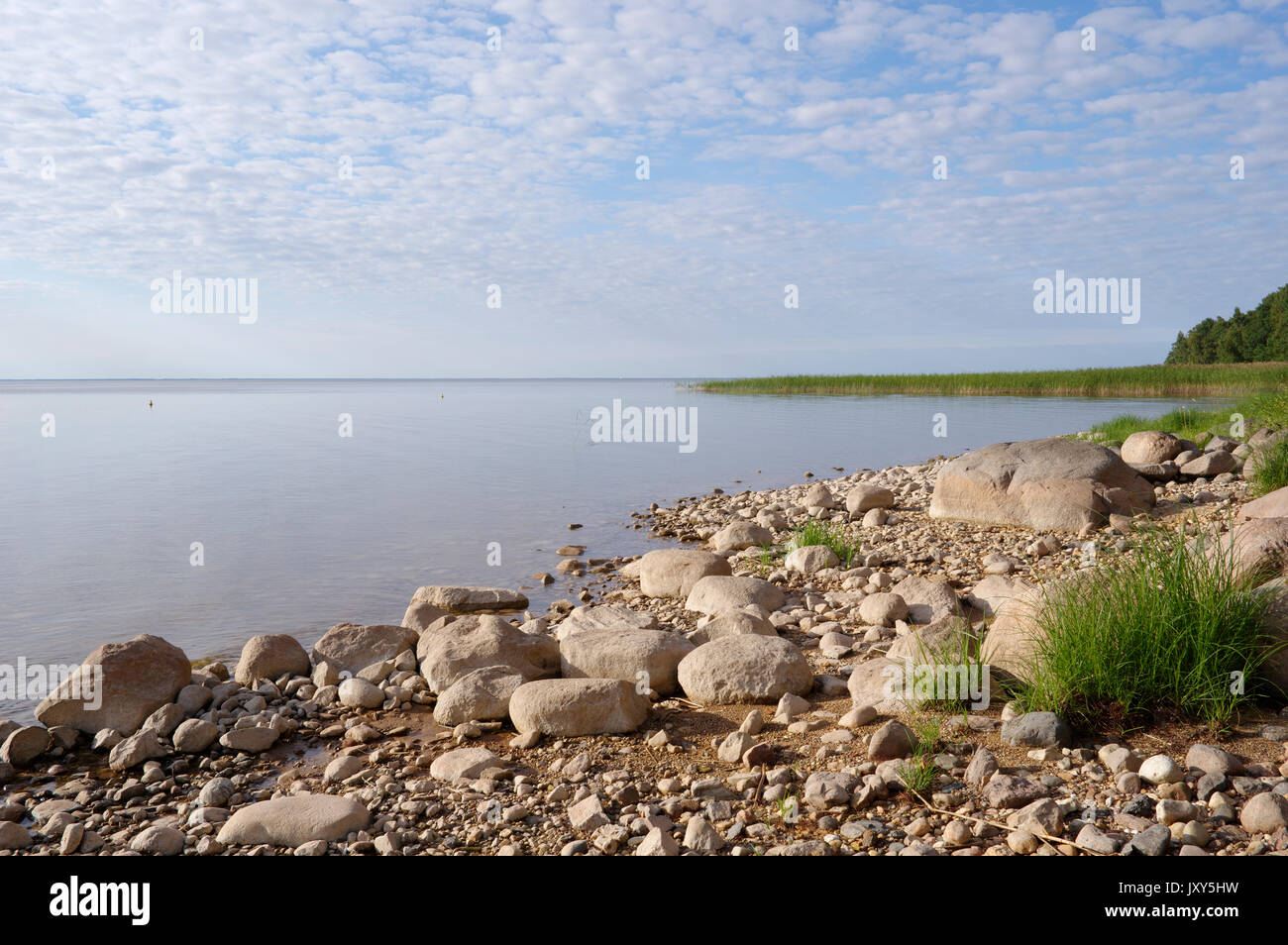 Vue sur le lac Võrtsjärv, Estonie 16.08.2017 Banque D'Images