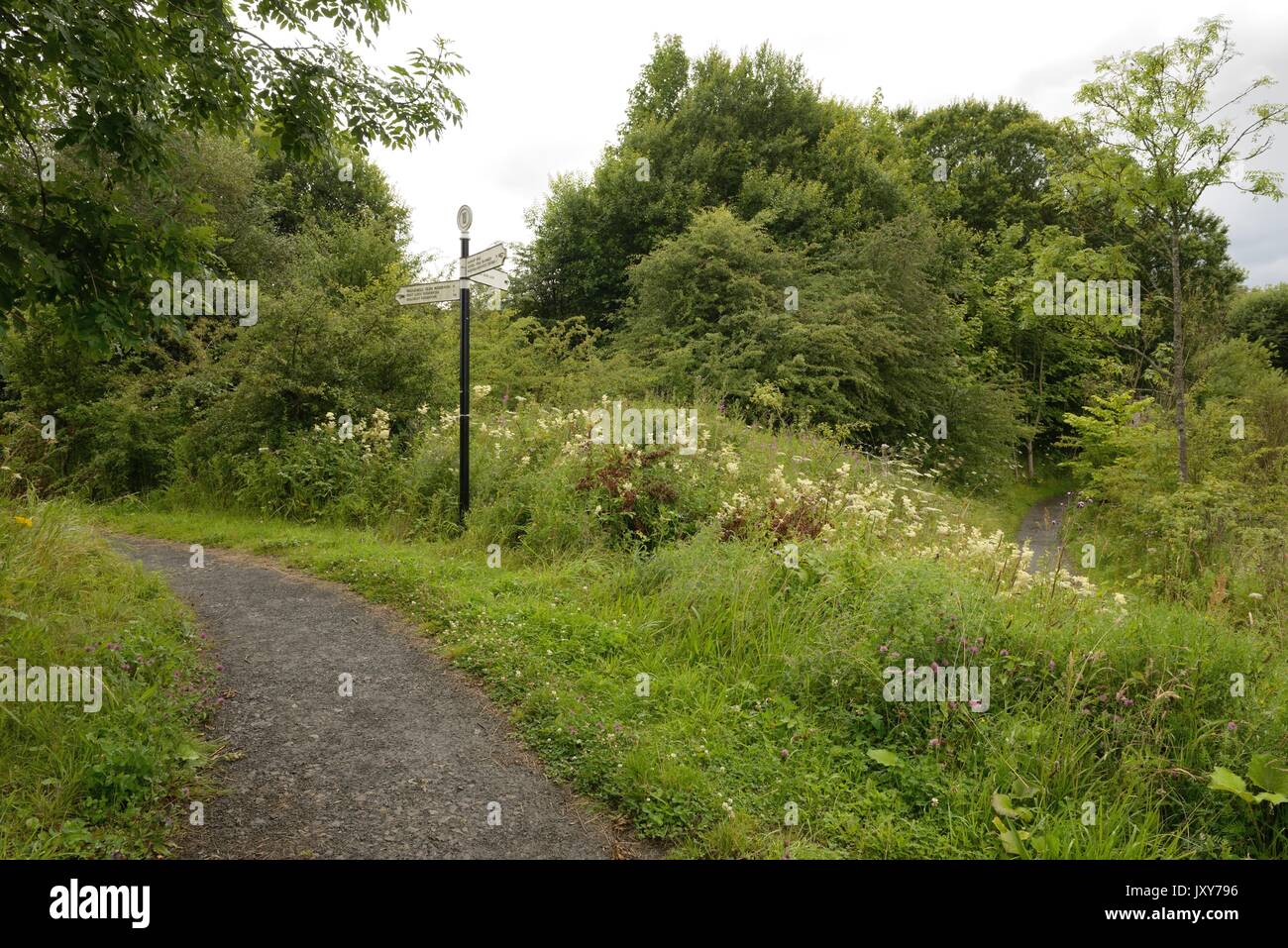 L'un des nombreux sentiers dans les barrages pour la Darnley country park à Glasgow, Écosse, Royaume-Uni Banque D'Images