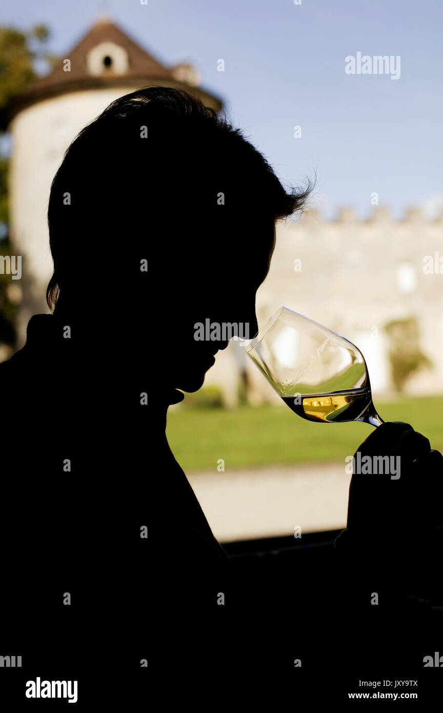 Silhouette d'un homme du vin dégustation au Château Yquem à Sauternes Banque D'Images