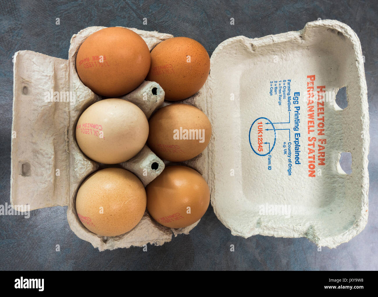 Une boîte ouverte de six Colin Carter's free range oeufs Cornish de Hazelton ferme en Perranwell, Truro, Cornwall, England, UK. Banque D'Images