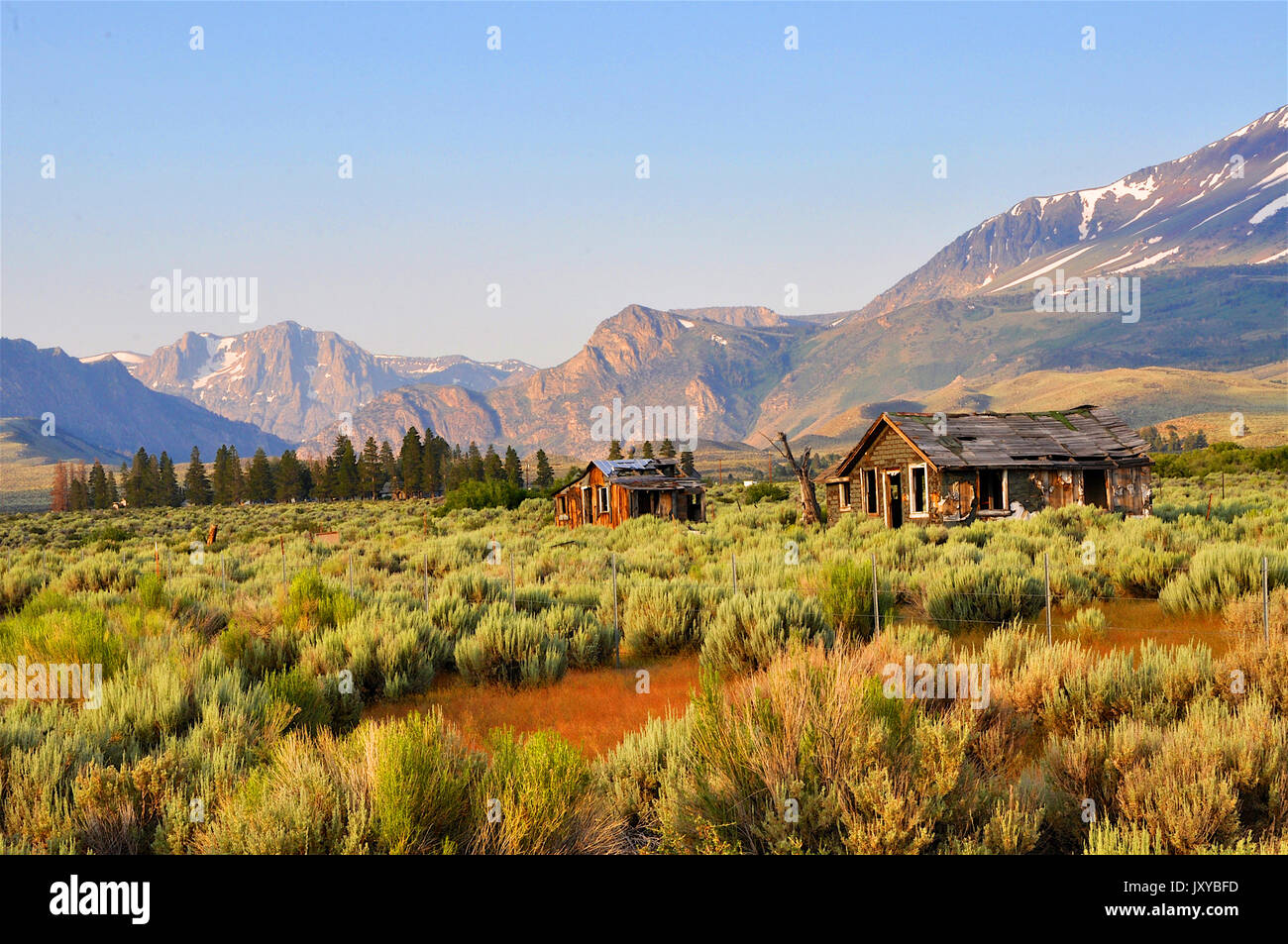 Près de Lee Vining, Californie 717 Banque D'Images