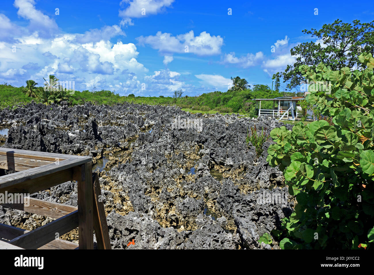 Une vue de la dépôts calcaires qui composent l'enfer dans les îles Caïmanes Banque D'Images