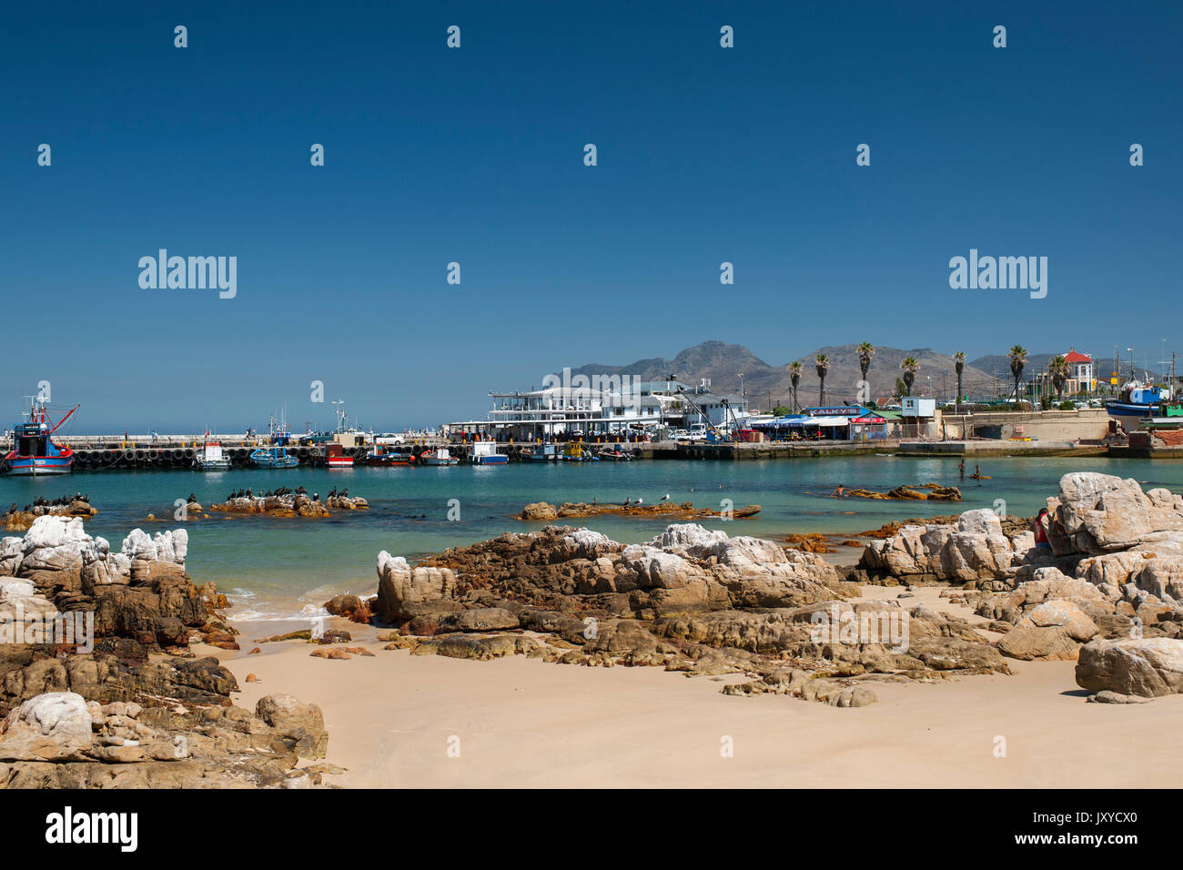 Bateaux de pêche dans le port de Kalk Bay Cape town's côte de l'océan indien. Banque D'Images
