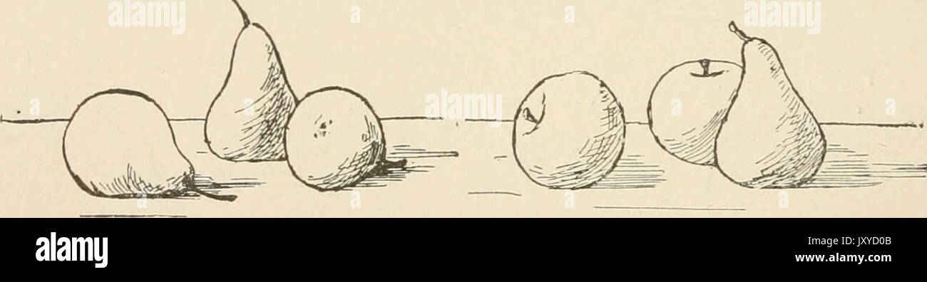 "Les enseignants" manuel pour le cours de dessin pour Prang écoles graduées, livres 1 à 6' (1897) Banque D'Images