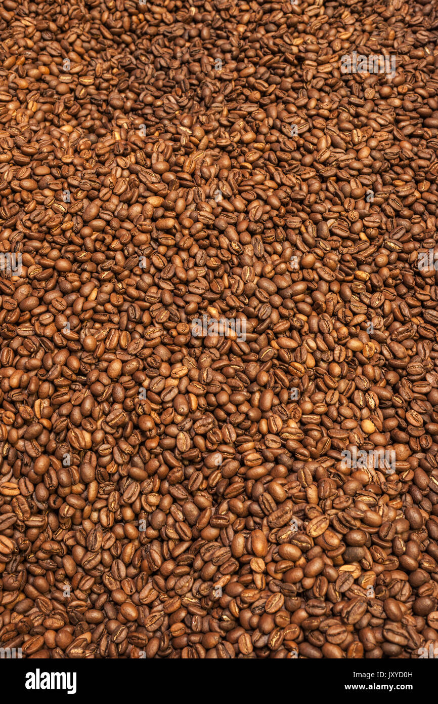 Grains de café torréfié. Banque D'Images