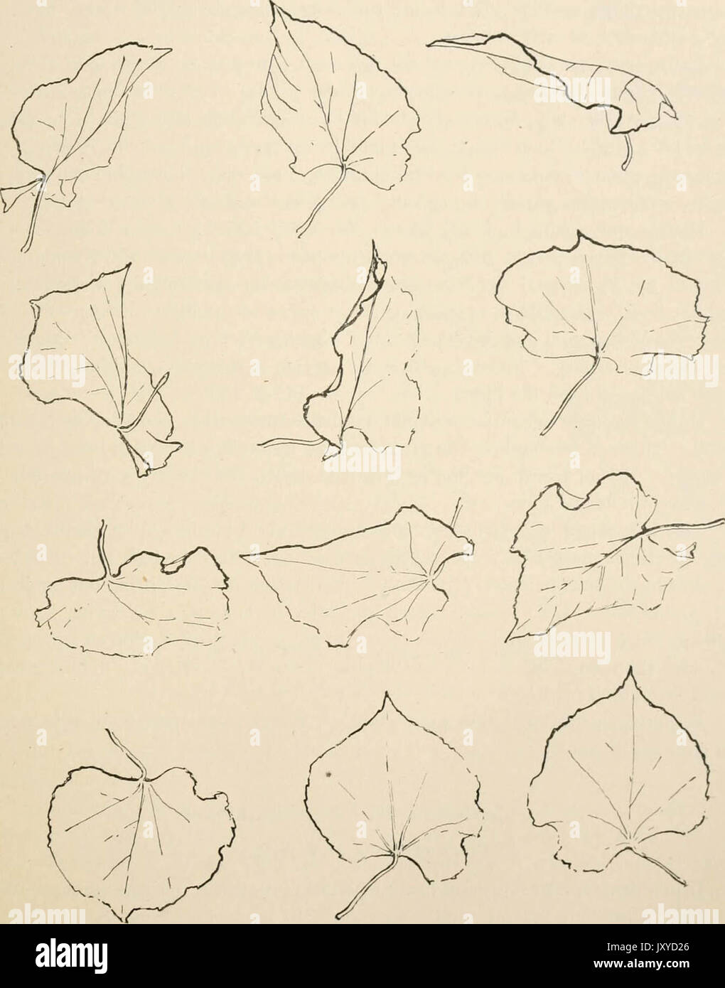 "Les enseignants" manuel pour le cours de dessin pour Prang écoles graduées, livres 1 à 6' (1897) Banque D'Images