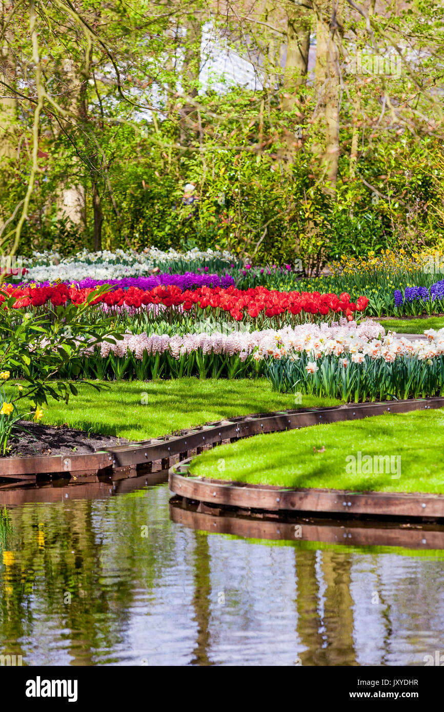Paysage jardin Jardin design moderne.. Cour et Jardin paysagé Banque D'Images