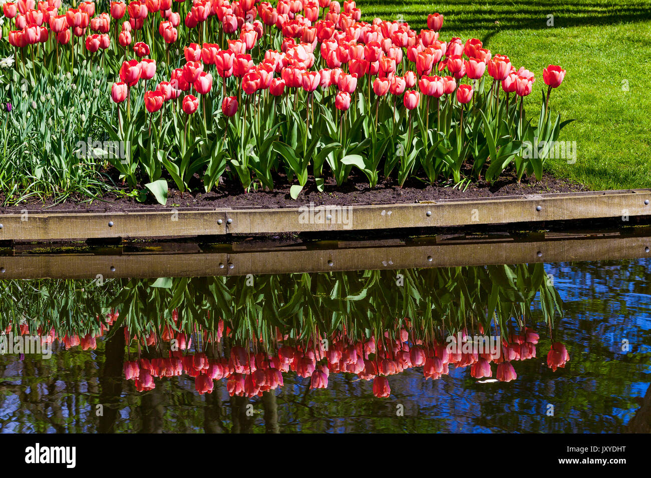 Paysage jardin Jardin design moderne.. Cour et Jardin paysagé Banque D'Images