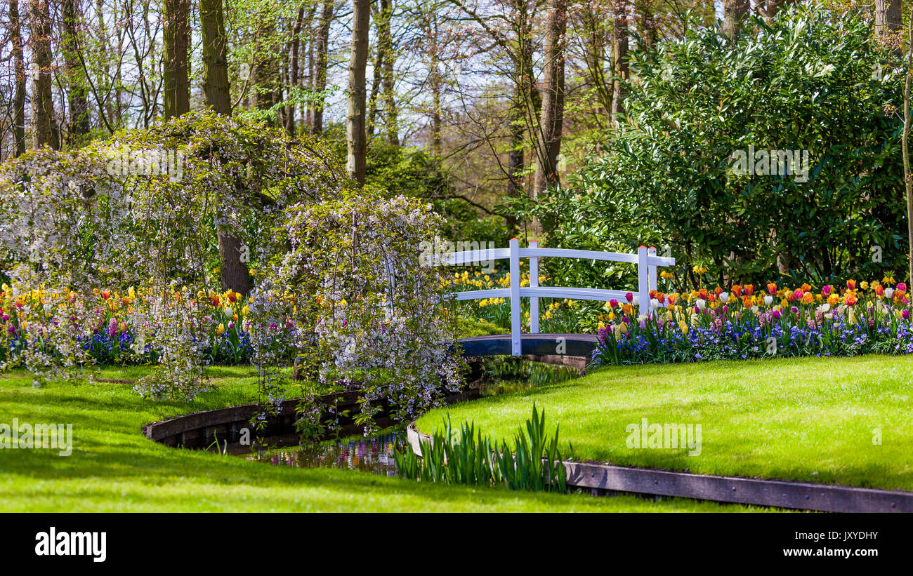 Paysage jardin Jardin design moderne.. Cour et Jardin paysagé Banque D'Images