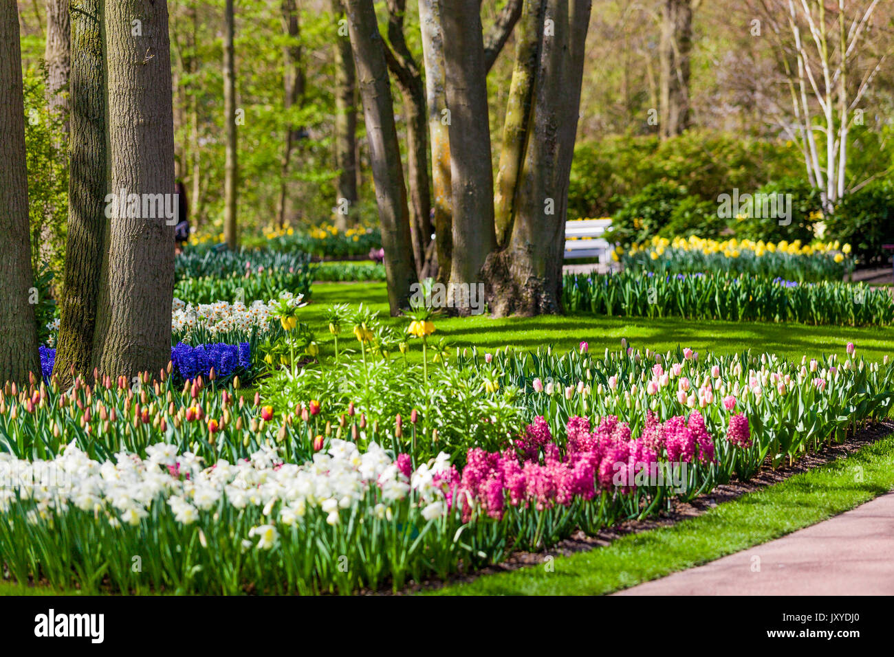 Paysage jardin Jardin design moderne.. Cour et Jardin paysagé Banque D'Images