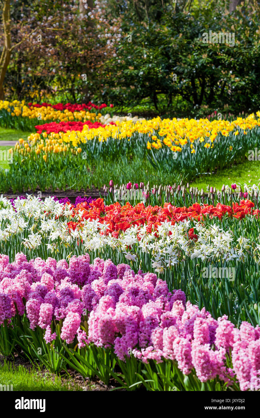 Paysage jardin Jardin design moderne.. Cour et Jardin paysagé Banque D'Images