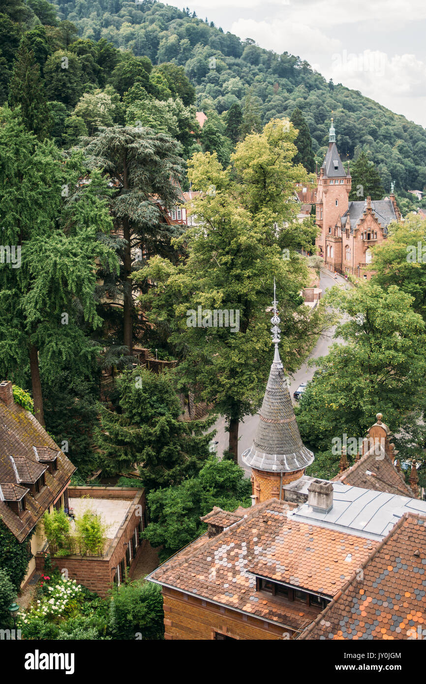 Vue sur les bâtiments historiques de l'Heidelberg Schloss sur une colline dans la ville allemande. Banque D'Images