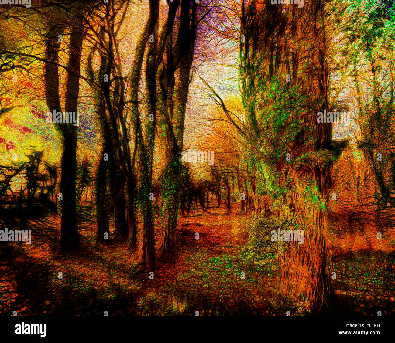 L'ART NUMÉRIQUE : Bois magique sur Cleeve Hill près de Cheltenham, Gloucestershire, Angleterre Banque D'Images