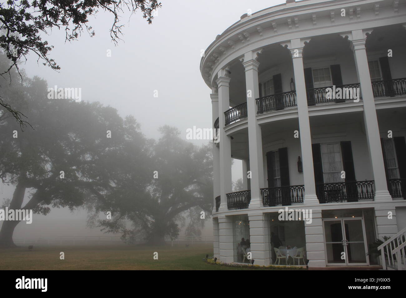 Nottoway Plantation dans le brouillard Banque D'Images