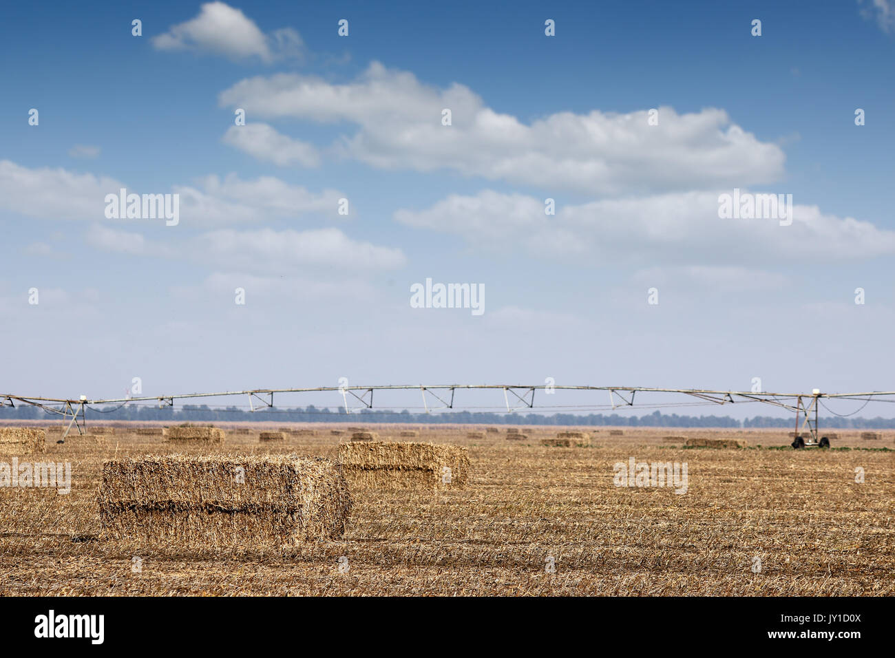Terrain de balle de paille avec pivot central et système de gicleurs Banque D'Images