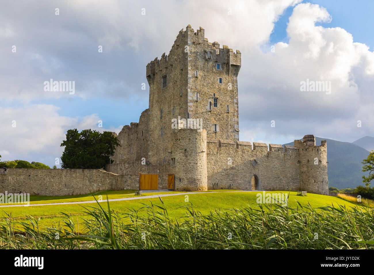 Le Château de Ross est une tour du Xvème siècle maison et garder sur le bord de Lough Leane, dans le Parc National de Killarney, comté de Kerry, Irlande. Banque D'Images
