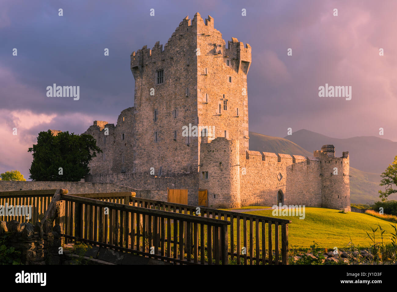 Le Château de Ross est une tour du Xvème siècle maison et garder sur le bord de Lough Leane, dans le Parc National de Killarney, comté de Kerry, Irlande. Banque D'Images