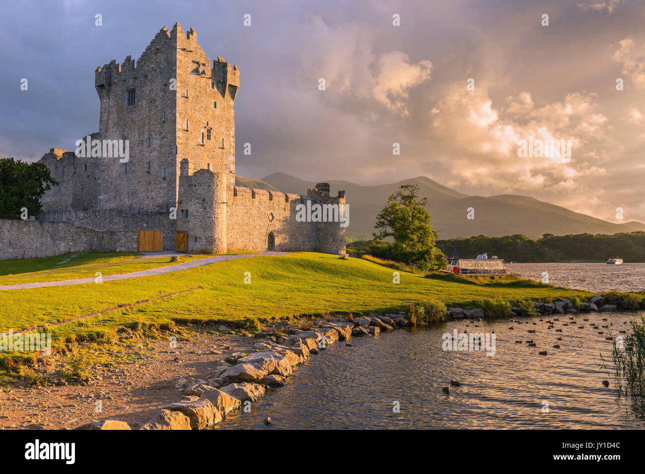 Le Château de Ross est une tour du Xvème siècle maison et garder sur le bord de Lough Leane, dans le Parc National de Killarney, comté de Kerry, Irlande. Banque D'Images