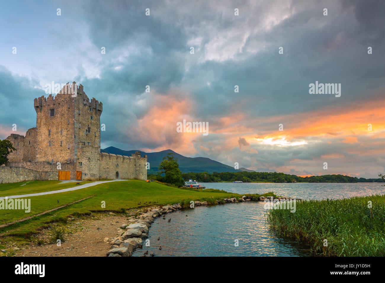 Le Château de Ross est une tour du Xvème siècle maison et garder sur le bord de Lough Leane, dans le Parc National de Killarney, comté de Kerry, Irlande. Banque D'Images