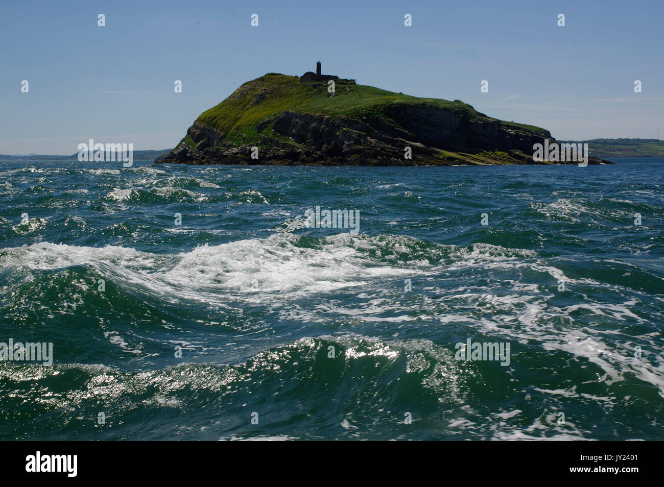 Puffin Island Anglesey, pays de Galles du Nord, Banque D'Images