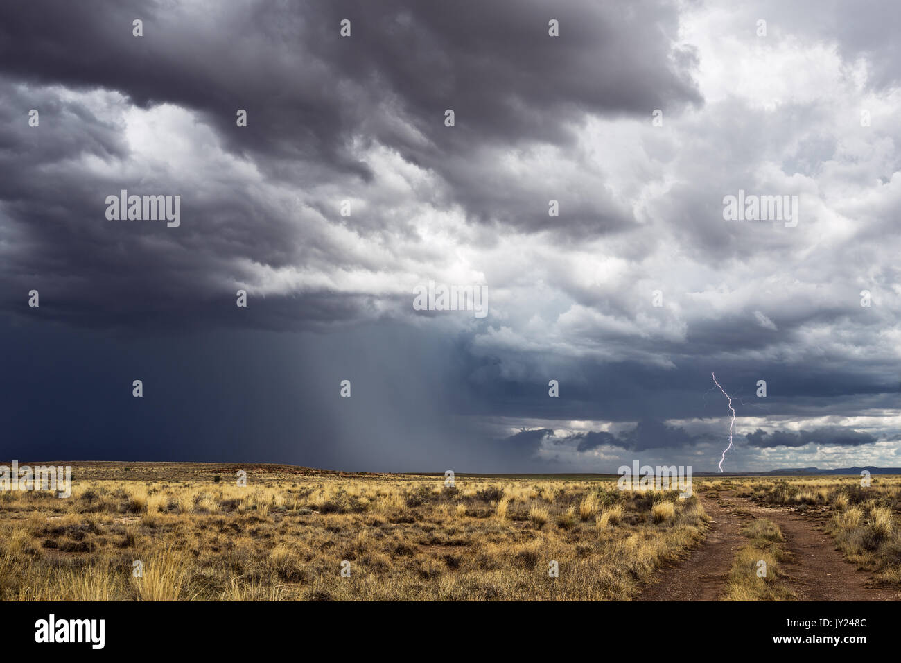 Orage lointain et foudre près de Winslow, Arizona Banque D'Images