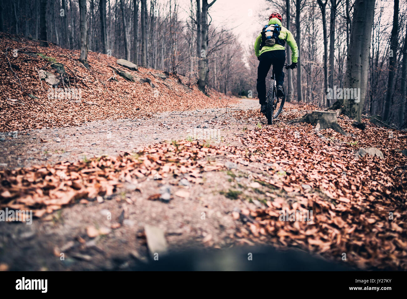 Vélo de montagne Vélo de course sur sentier dans les bois. Montagne en hiver ou en automne paysage forêt. Vélo homme VTT sur les routes de campagne. Remise en forme Sport motivat Banque D'Images