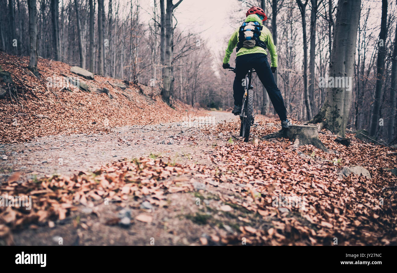 Vélo de montagne sur le sentier en forêt. Montagnes en automne paysage Woods. Vélo homme vélo VTT sur les routes de campagne. Une motivation fitness Sport Banque D'Images