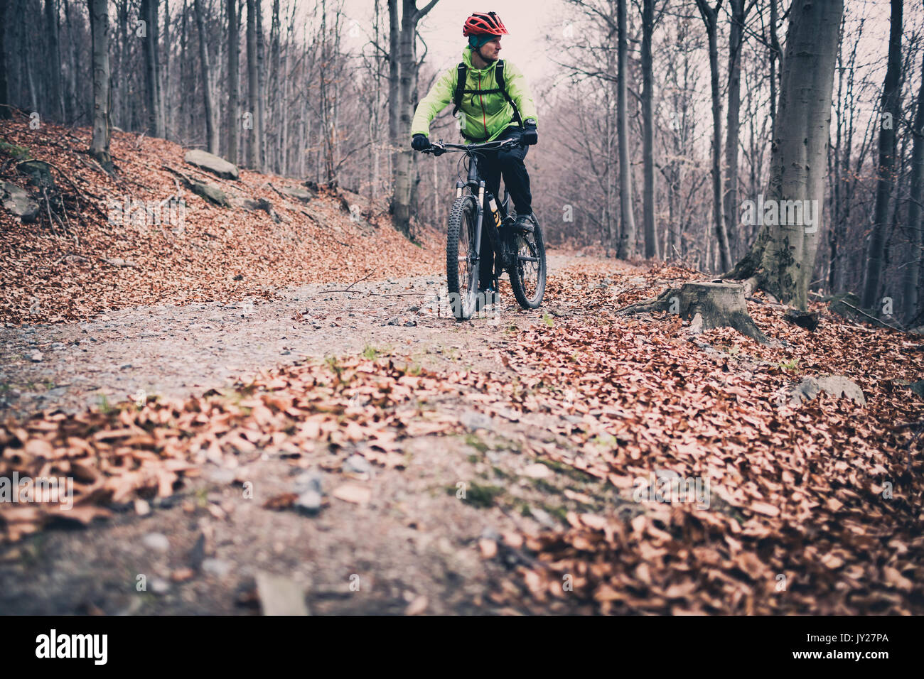 Vélo de montagne Vélo de course sur sentier dans les bois. Montagne en hiver ou en automne paysage forêt. Vélo homme VTT sur les routes de campagne. Remise en forme Sport motivat Banque D'Images