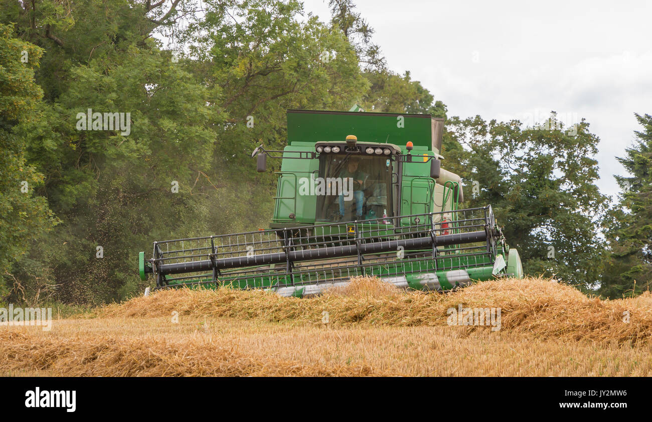 L'agriculture britannique, Harvest, John Deere moissonneuse-batteuse Hillmaster au travail sur une récolte de blé à Wycliffe, août 2017 Teesdale Banque D'Images