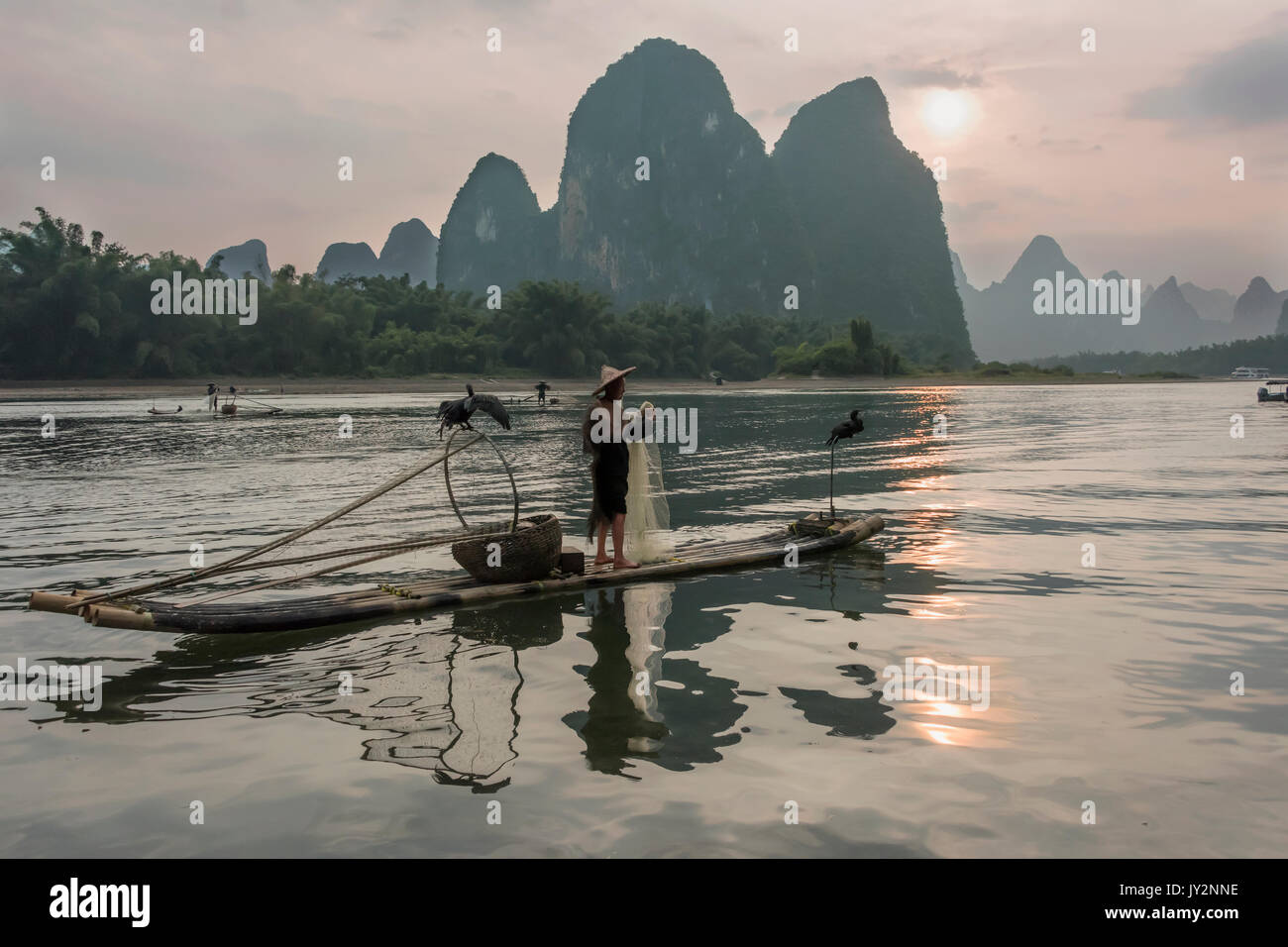 Cormoran pêcheur au coucher du soleil, de la rivière Li, xinping, Yangshuo, Chine Banque D'Images