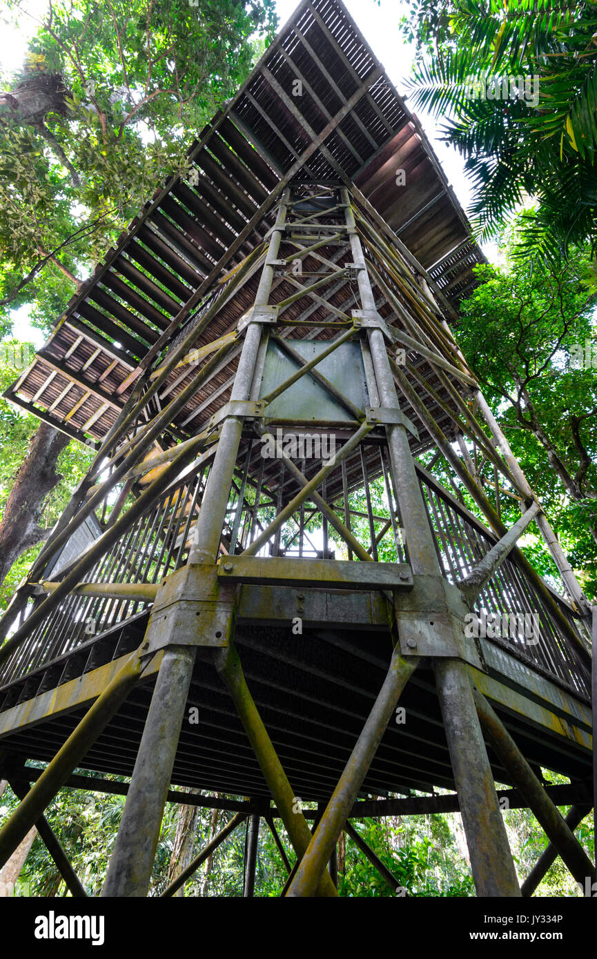 Tour d'observation surplombant le rainforeest à Daintree Discovery Centre, parc national de Daintree, Far North Queensland, FNQ, Queensland, Banque D'Images