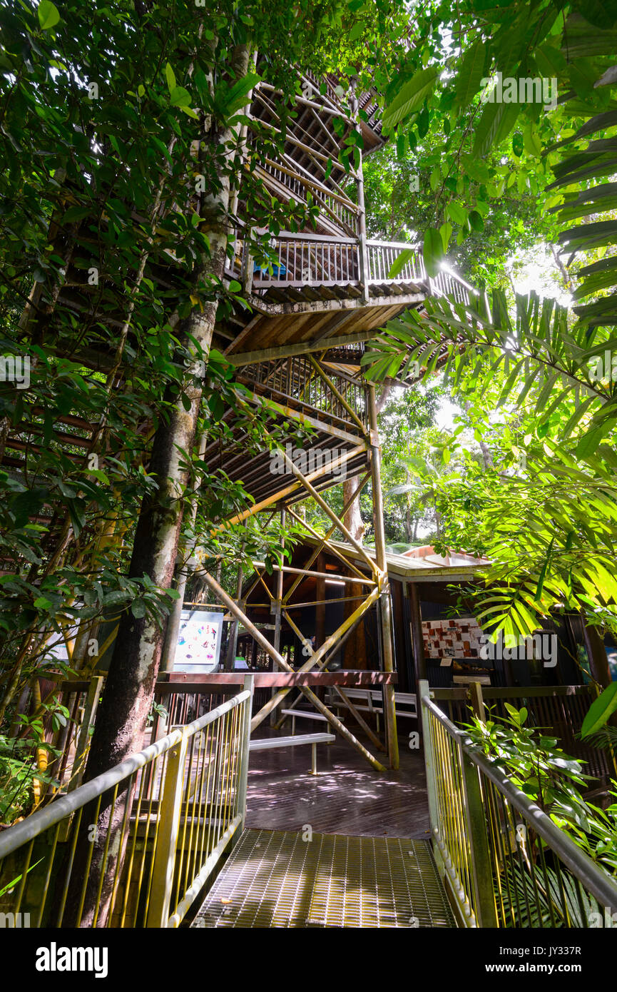 Tour d'observation surplombant le rainforeest à Daintree Discovery Centre, parc national de Daintree, Cape Tribulation, Far North Queensland, FNQ, Queensland, Banque D'Images