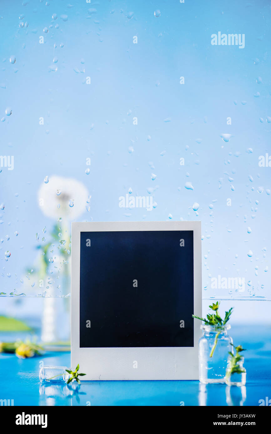 Still Life with simple instant photo frame, pluie d'été, tombe sur une fenêtre et le pissenlit est un vase en verre sur un fond bleu ciel. copier l'espace. Banque D'Images