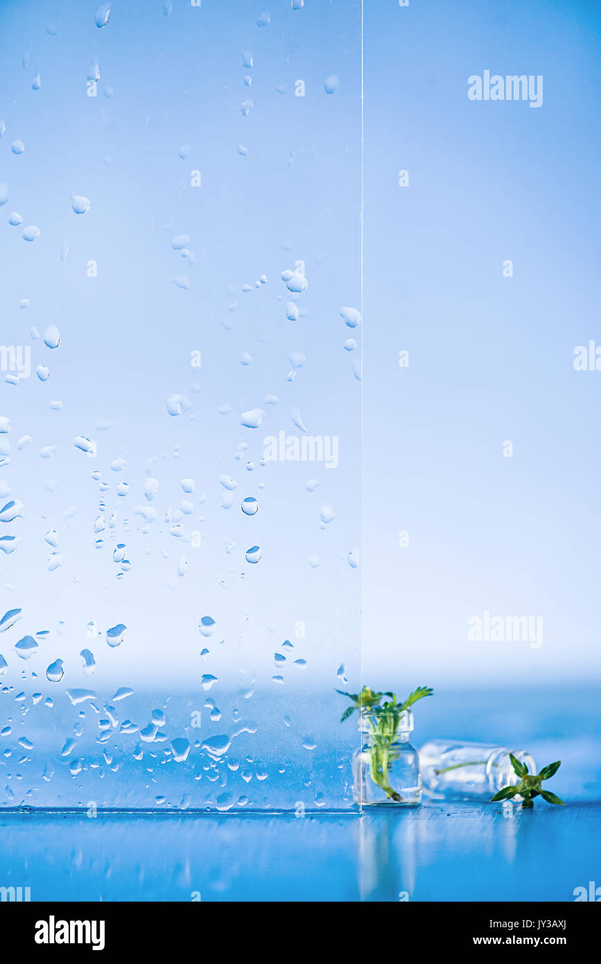 Feuilles en petites bouteilles avec des gouttes d'eau sur la fenêtre en verre Banque D'Images