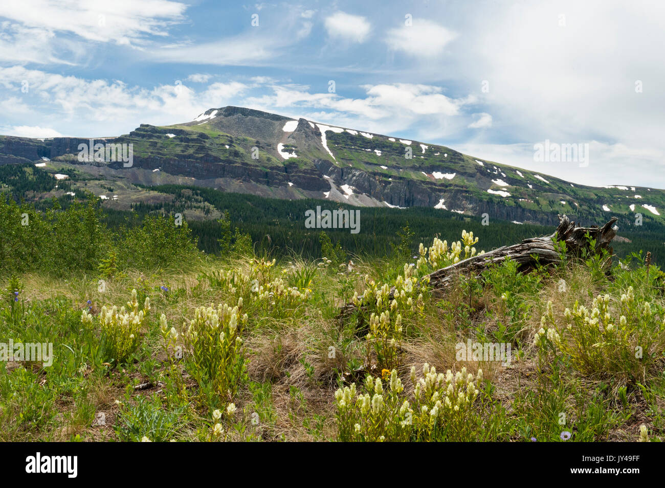 Télévision Top Mountain, vu depuis le nord-ouest du Colorado trail dans Mandall's Flat Tops Wilderness. Banque D'Images