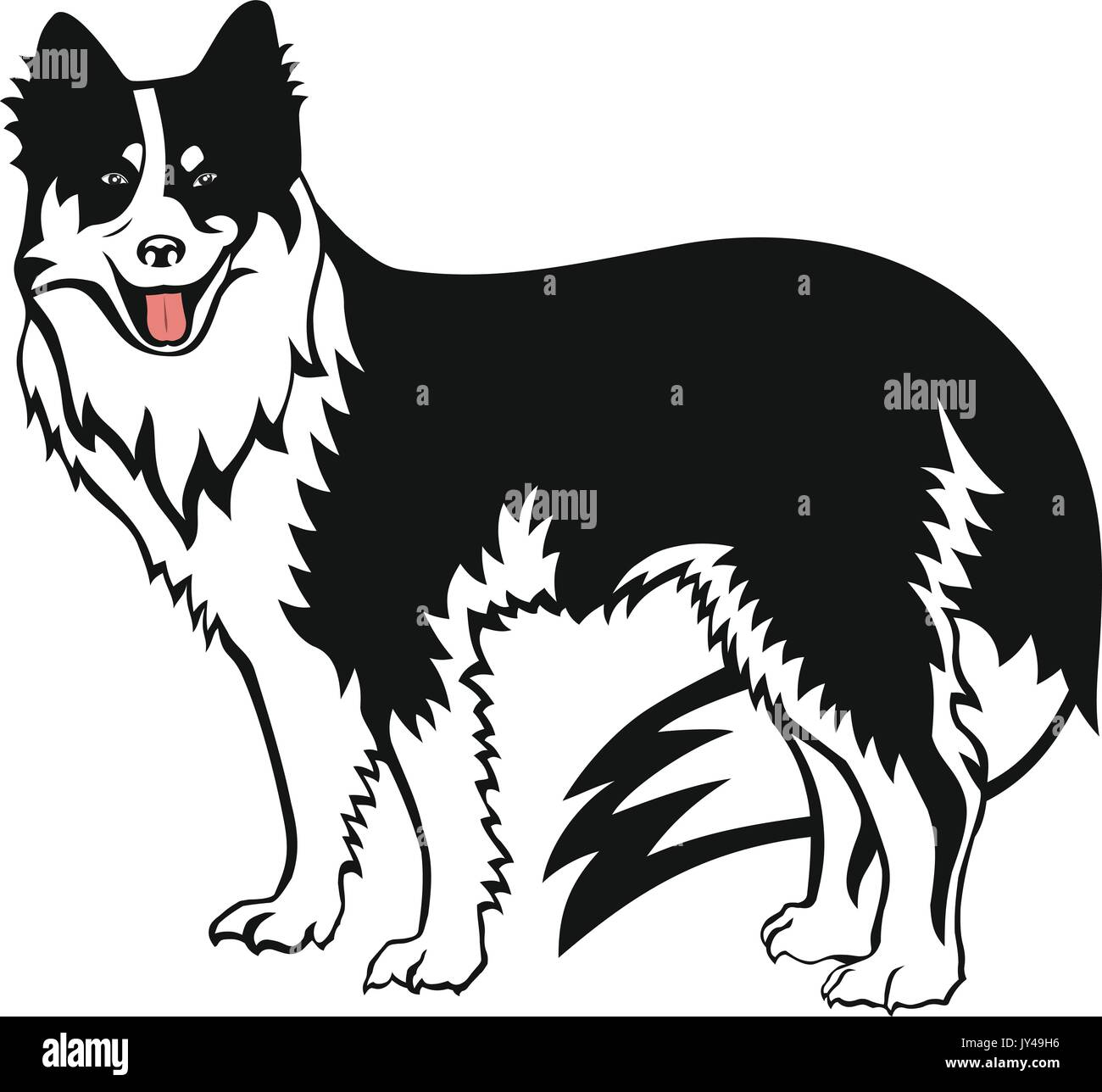 Border Collie chien Alpha Vector Illustration de Vecteur