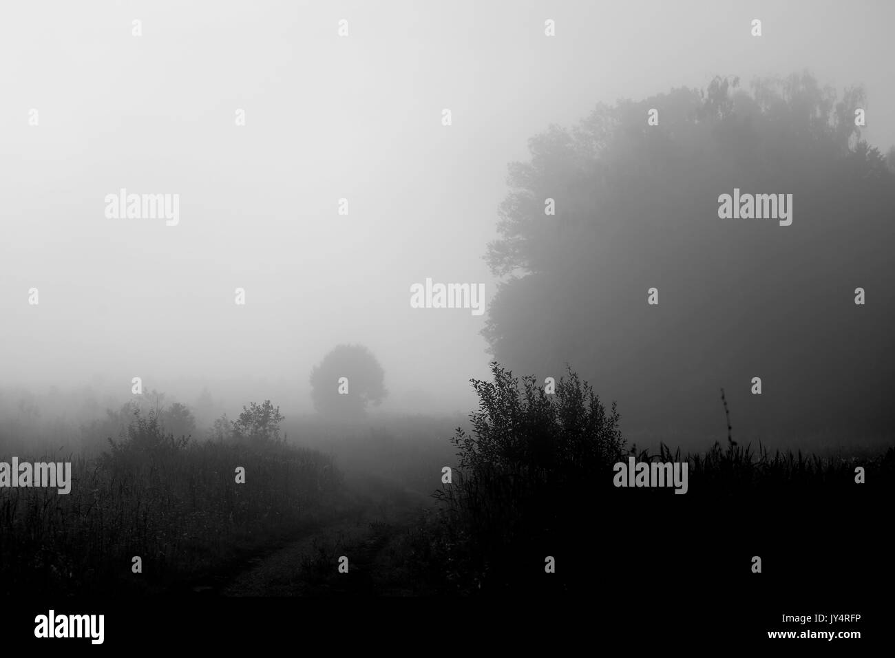 Photo d'un paysage rural dans un brouillard tôt le matin Banque D'Images