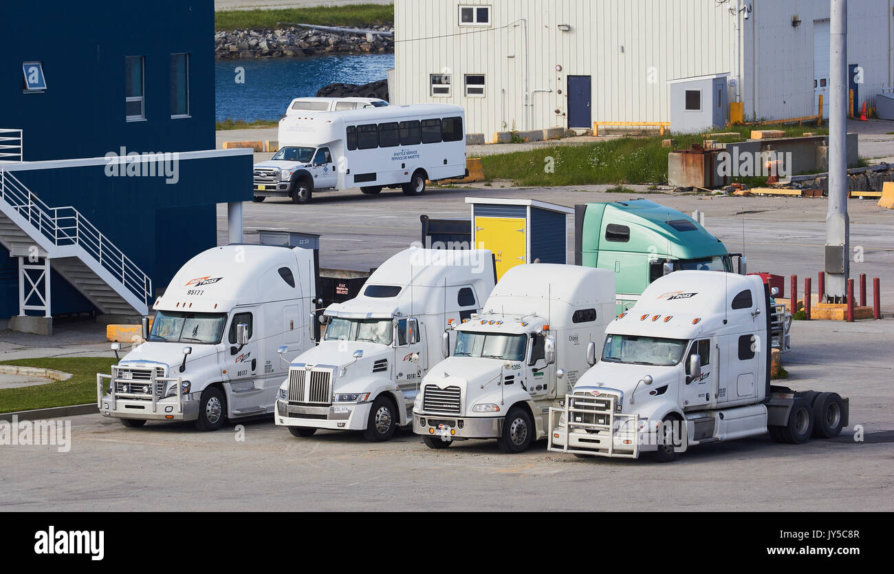 Les camions de style nord-américain stationné à quai à Port-aux-Basques (Terre-Neuve), Canada Banque D'Images