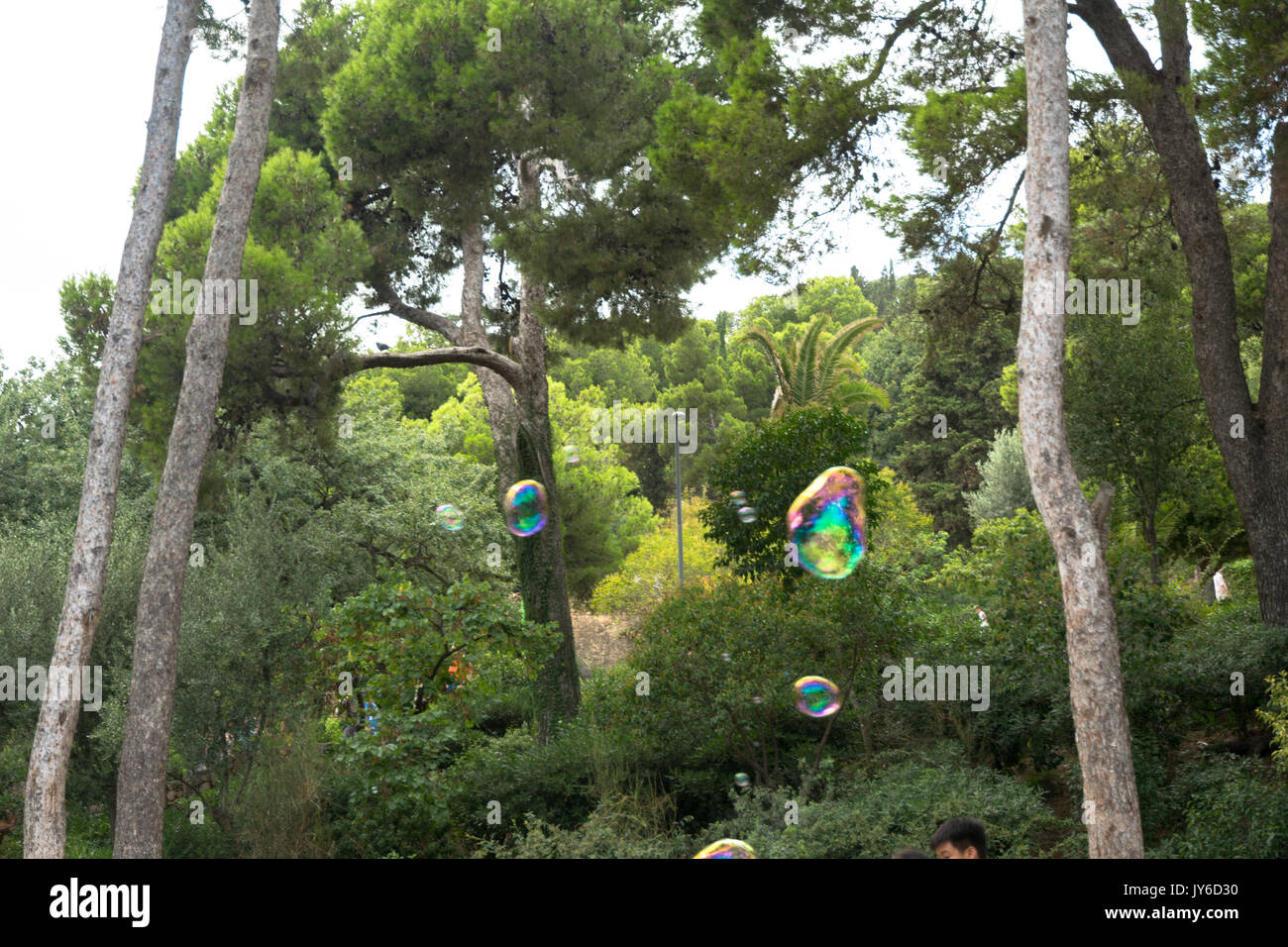 Belle scène avec éléments lumineux vert sur une journée en Europe Banque D'Images