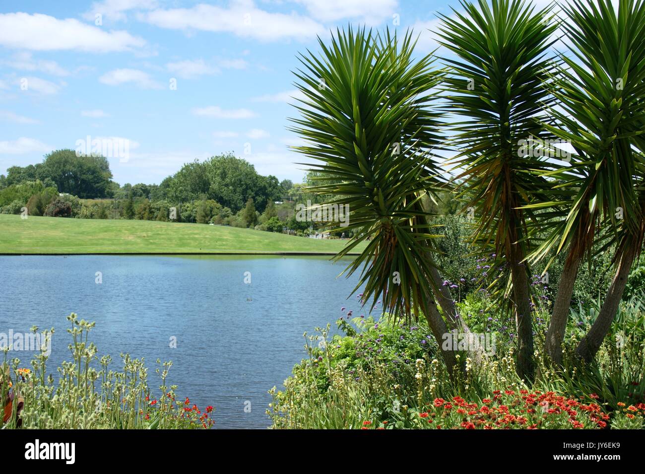 Jardins de Hamilton, Hamilton, Nouvelle-Zélande Banque D'Images