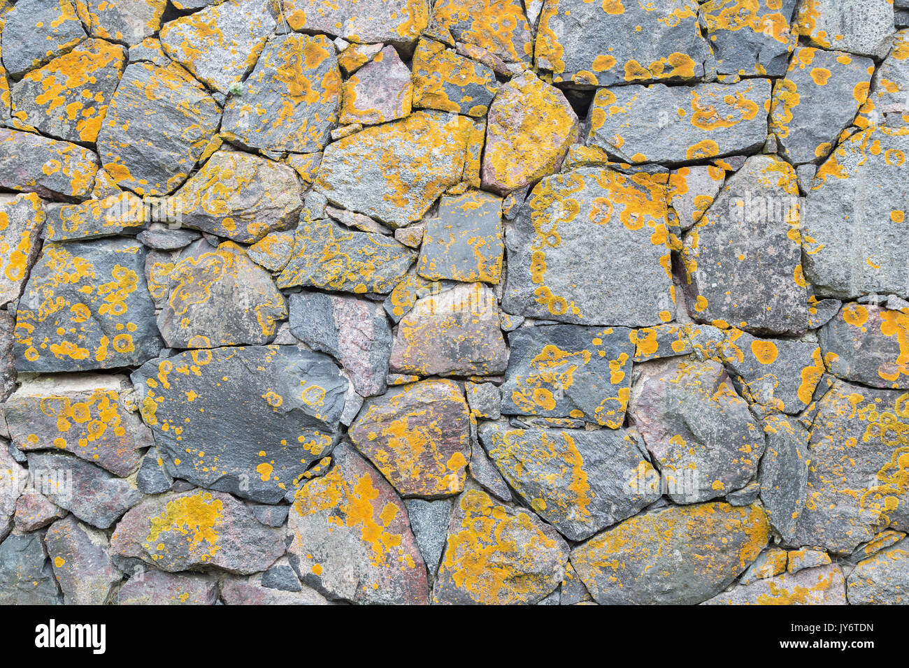 Vieux mur à une forteresse en pierres avec lichen jaune. Banque D'Images Vieux mur à une forteresse en pierres avec lichen jaune. Banque D'Images