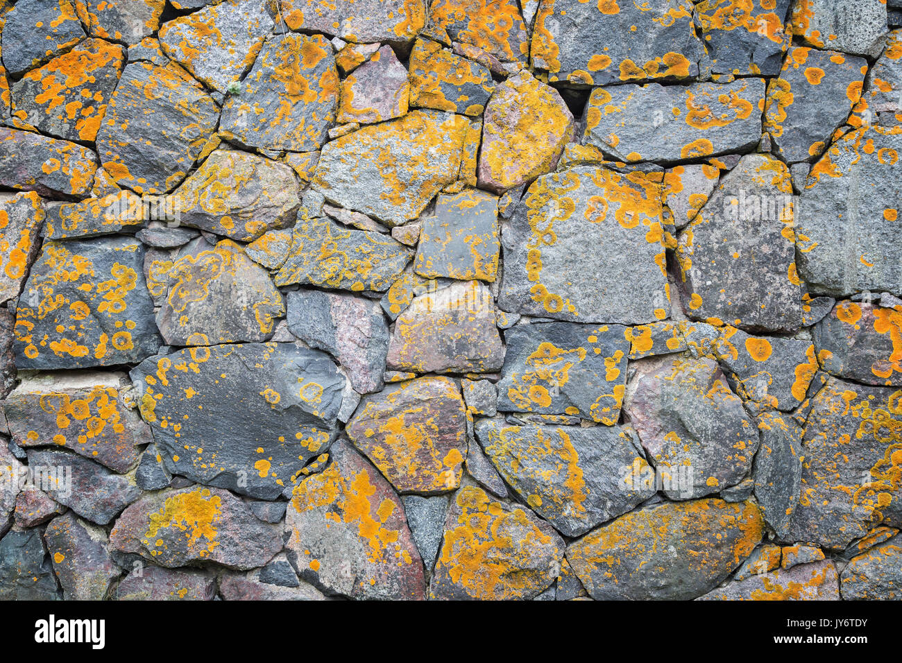 Vieux mur à une forteresse en pierres avec lichen jaune. Banque D'Images Vieux mur à une forteresse en pierres avec lichen jaune. Banque D'Images