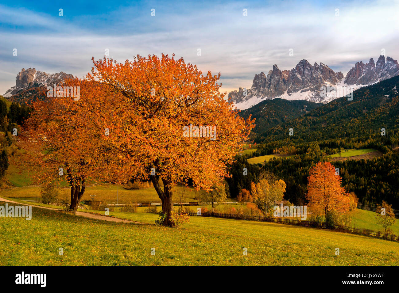 Val di Funes, Trentin-Haut-Adige, Italie. Couleurs d'automne dans le Val di Funes. Banque D'Images