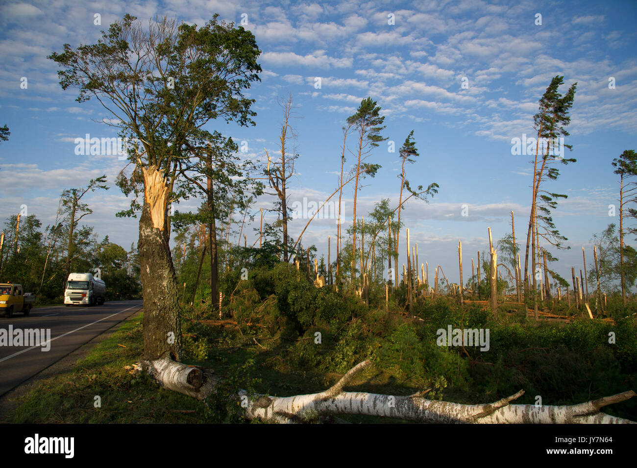 La chute d'arbres en forêt causé par la vitesse du vent extrêmement élevé au cours de la tempête il y a quelques jours dans Jeziorki, Pologne 16 août 2017 © Wojciech Strozyk / Ala Banque D'Images