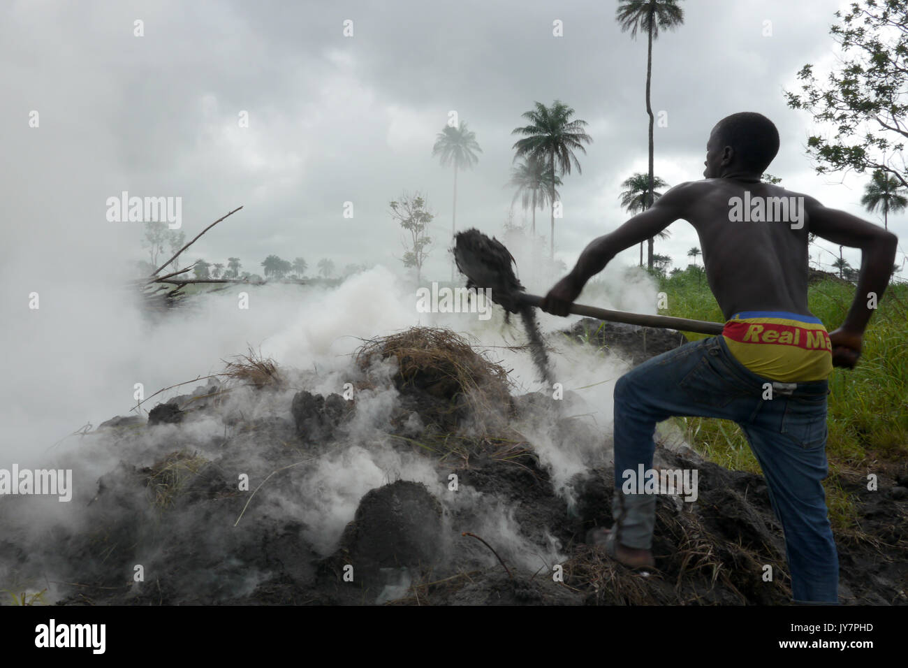 L'homme en Sierra Leone, l'Afrique, la fabrication du charbon de bois Banque D'Images