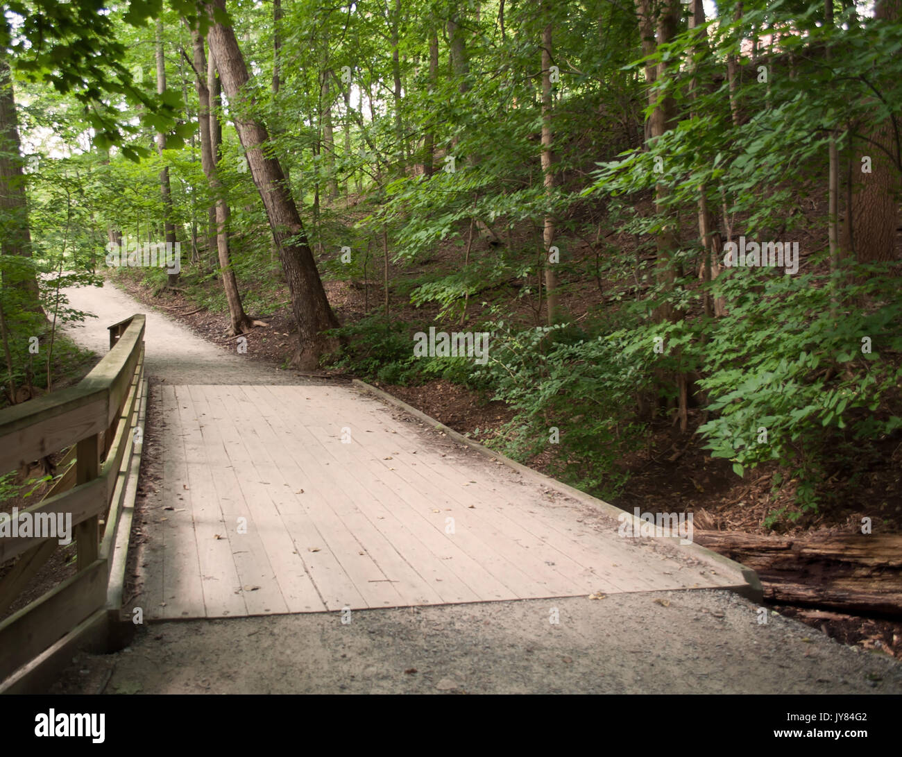 Un pont en bois dans les bois à partir d'un chemin de terre Banque D'Images