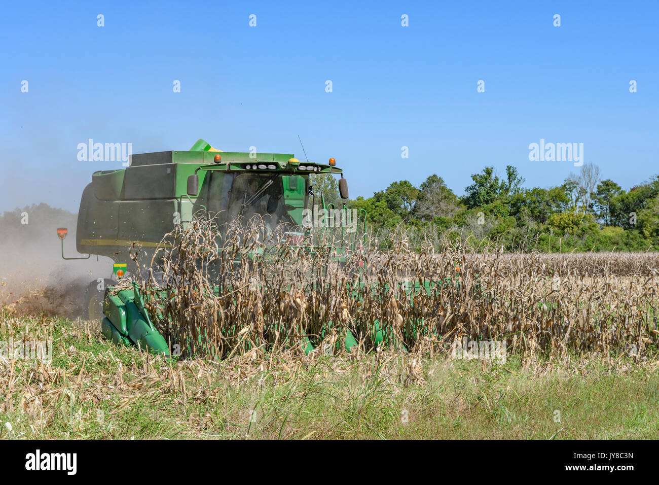 John Deere S550 combine harvester est vieille coupe les tiges de maïs récoltés pour préparer le terrain pour la récolte de l'année prochaine sur une ferme du centre de l'Alabama, USA. Banque D'Images
