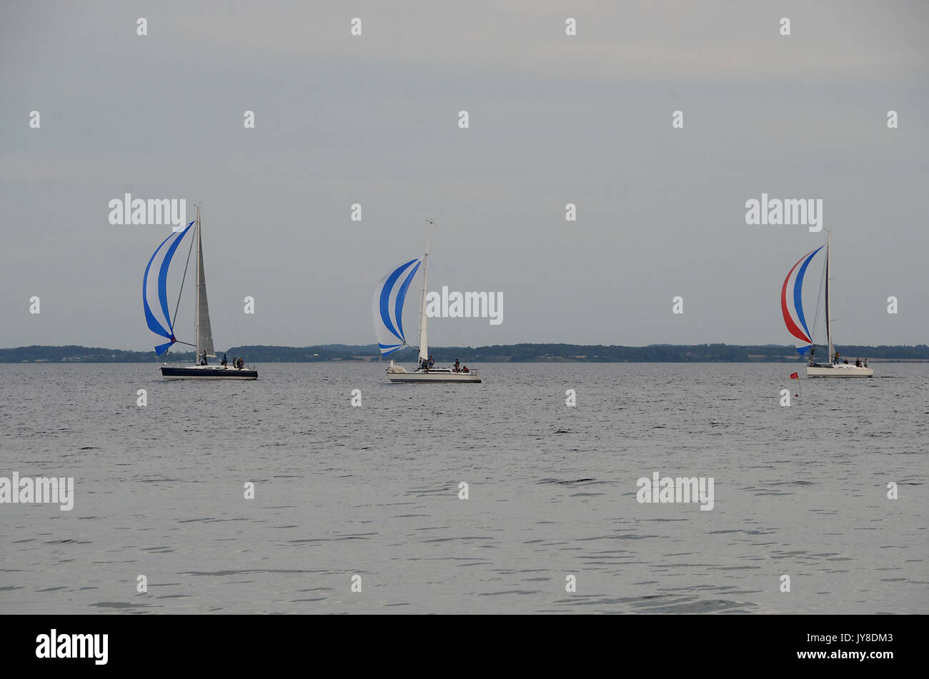 Yachts à voile dans le vent avec des spinnakers. Banque D'Images